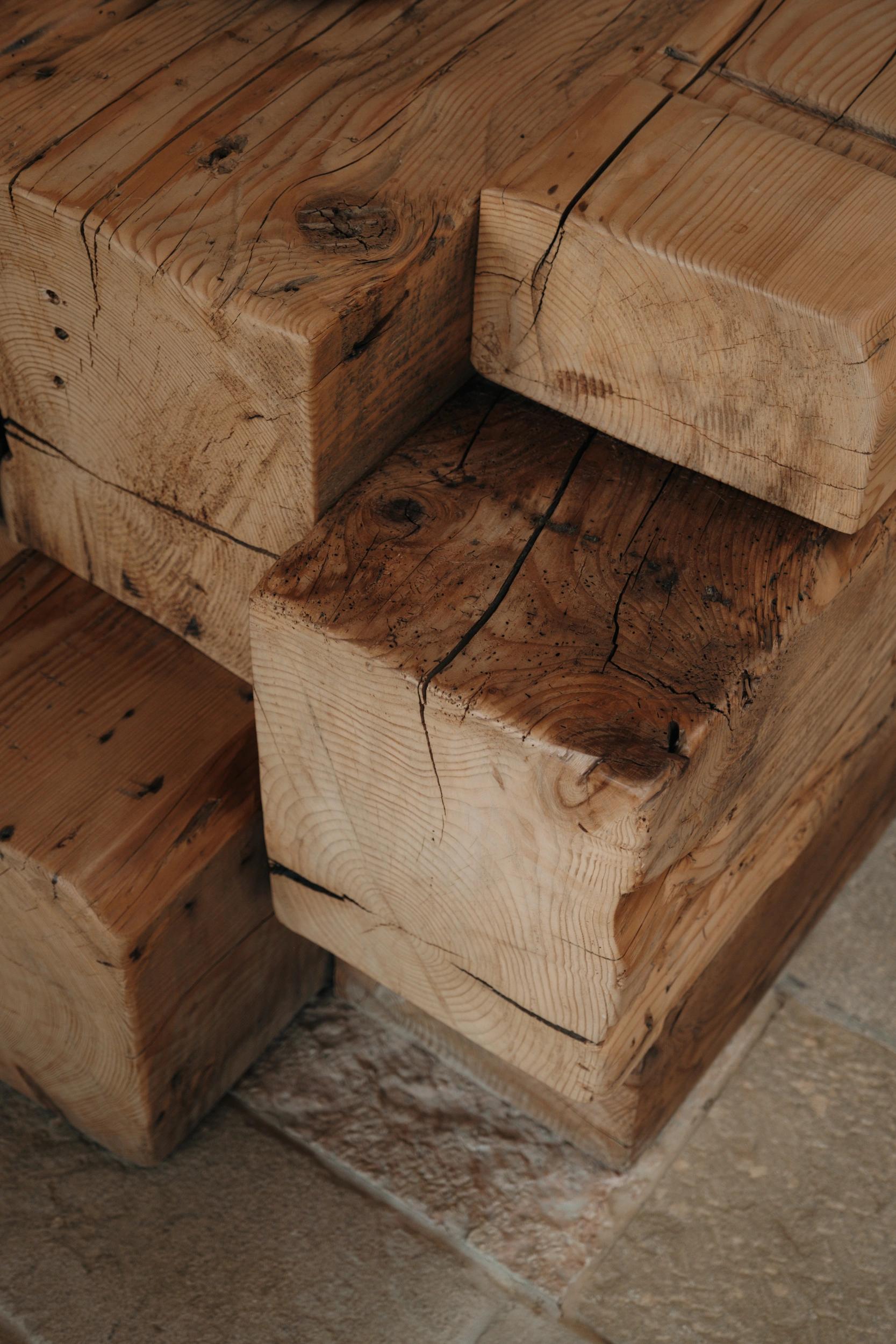 Bois de chêne aux Oliviers de Palombaggia en Corse-du-Sud.